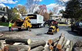 Best Aeration Services  in Beacon Hill, WA